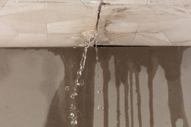 Professional Water Damage Repair technician working in Drake, CO